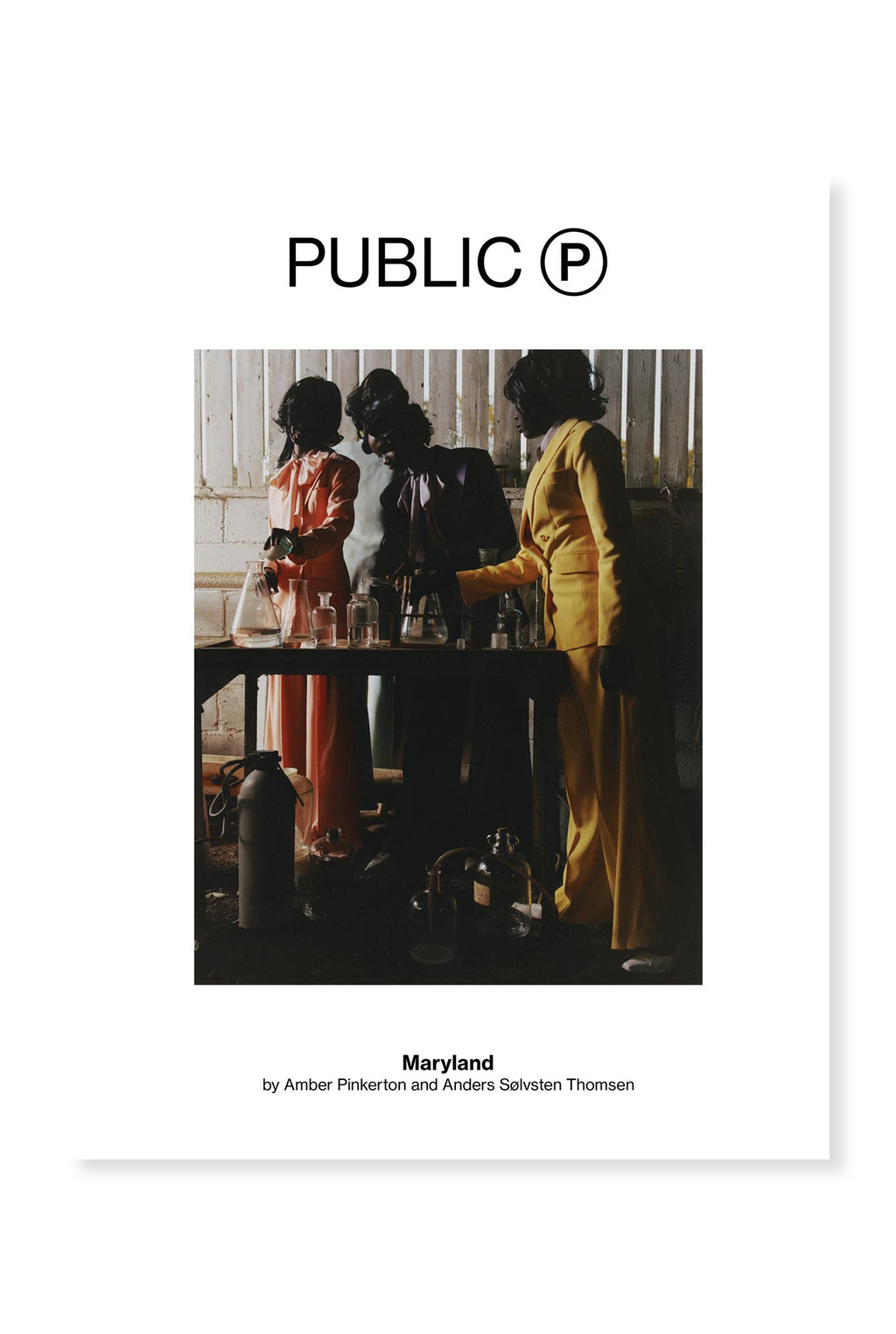 Public, Issue 5