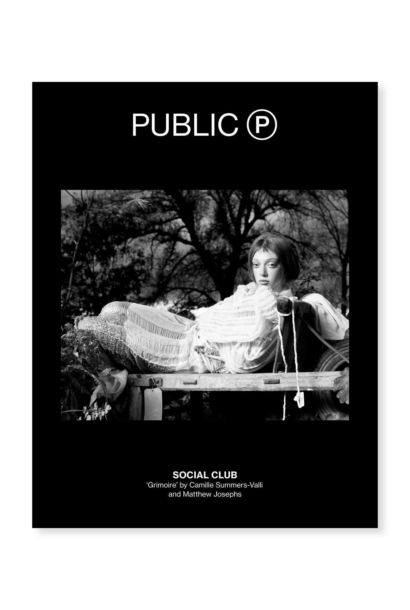 Public, Issue 6