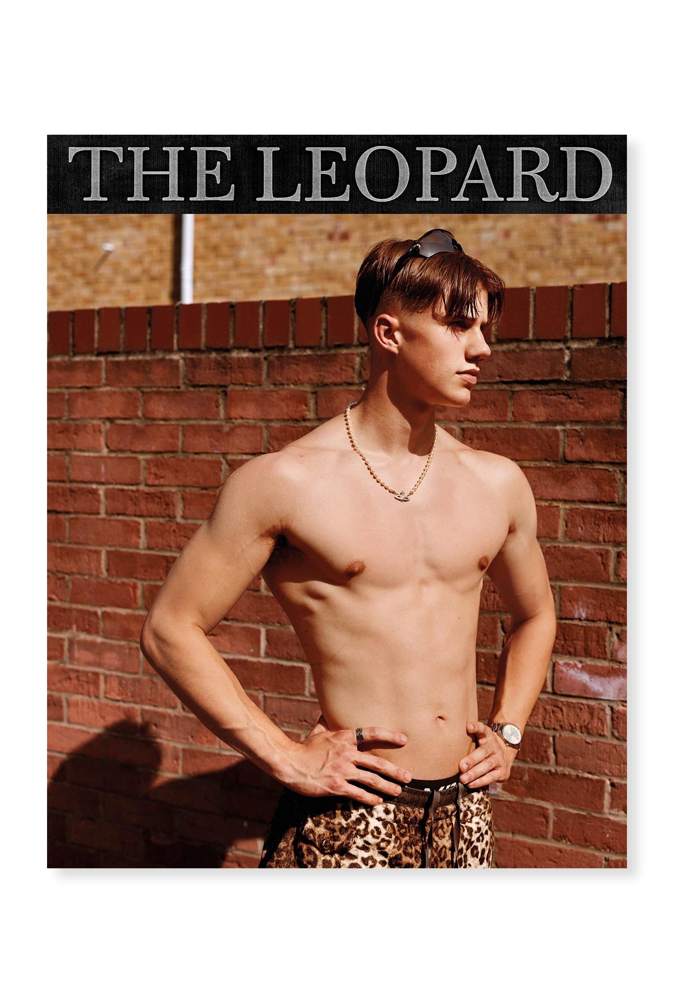 The Leopard, Issue 2