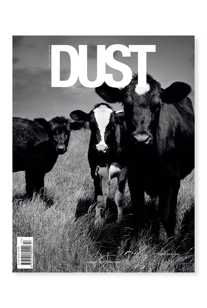 DUST Magazine, Issue 17