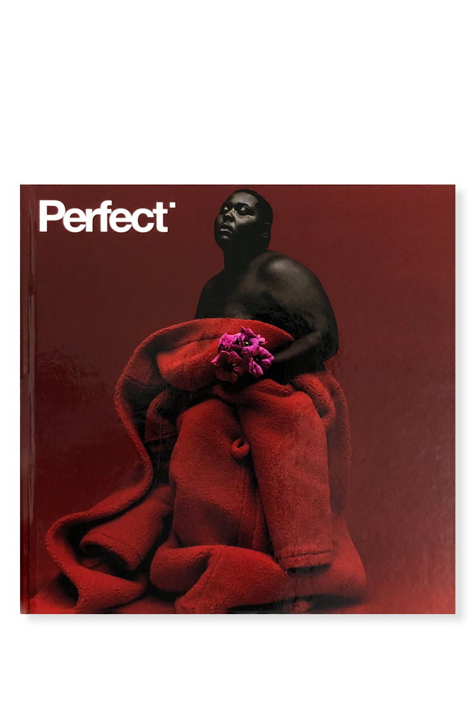 Perfect, Issue 0