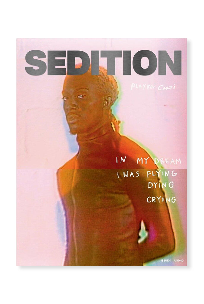 Sedition, Issue 4